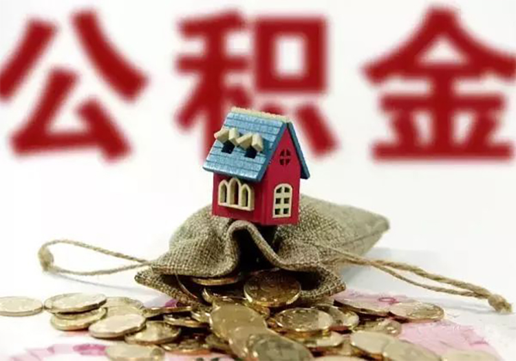 私人资金的重要性及其应用分析